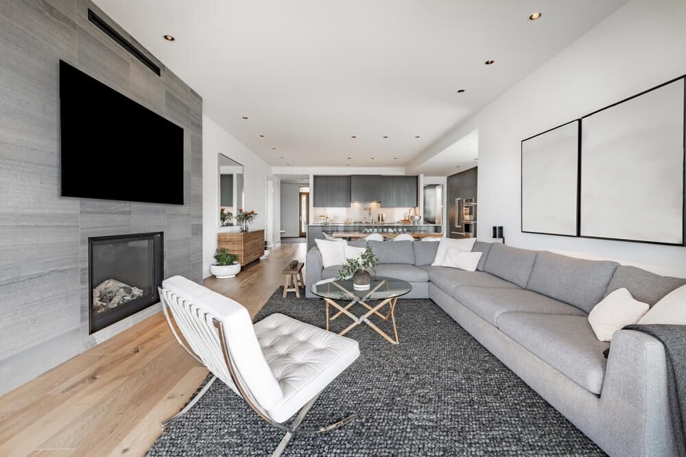 Living and Common Area cleaning service